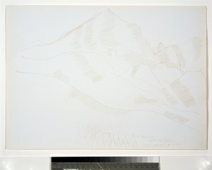 房子和松树山风景 作者 马斯登·哈特利