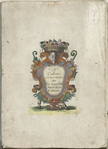系列标题：Il Callotto resurcitato oder Neu eingerichtes Zwerchen Cabinet，约 1710 年
Il Callotto resurcitato oder Neu eingerichtes Zwerchen Cabinet（系列标题） 作者 马丁·恩格尔布雷希特（归因于）