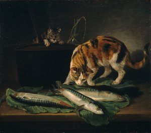 猫和鱼