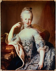 玛丽·安托瓦内特 (1755-1793) 未来的法国女王肖像 马丁·范·梅滕斯 (1695-1770) 画作，1767 年左右。维也纳，美泉宫 (Schonnbrun)