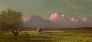 阳光与阴影：纽伯里沼泽，约 1871-1875 年（布面油画） 作者 马丁·约翰逊·海德