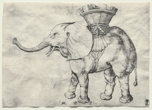 大象与 Howdah 作者 马丁·尚高