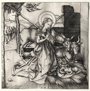 基督的生平：耶稣降生c。 1480-1490。 作者 马丁·尚高