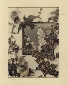 马丁·格拉赫 (Martin Gerlach) 的节日和装饰组之一（黑白照片）