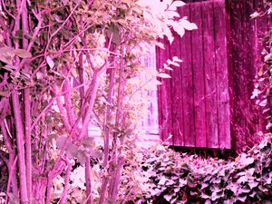 在花园屋 作者 玛蒂娜·柯尼兹基（Martina Konitzky）