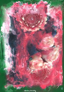 生日花束 作者 玛蒂娜·柯尼兹基（Martina Konitzky）