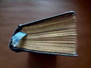 儿童圣经 作者 玛蒂娜·柯尼兹基（Martina Konitzky）