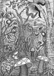 风景与蘑菇 作者 玛蒂娜·柯尼兹基（Martina Konitzky）
