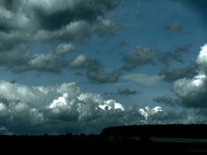 Unwetter 作者 玛蒂娜·柯尼兹基（Martina Konitzky）