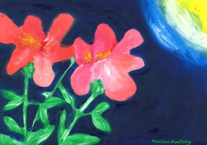 怀德罗森 作者 玛蒂娜·柯尼兹基（Martina Konitzky）