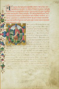 历史的初始C描绘了先知丹尼尔的景观，c.1471 作者 马蒂诺·迪·乔治·摩德纳
