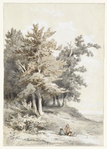 带数字的森林边缘 作者 Martinus Antonius Kuytenbrouwer Jr.
