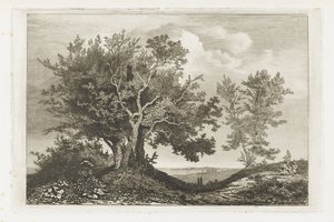 两块树地之间的乡间小路 作者 Martinus Antonius Kuytenbrouwer Jr.