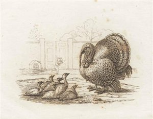 海伊为《半百儿童寓言》绘制的插图 作者 马蒂努斯·罗比（MartinusRørbye）