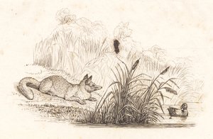 海伊为《半百儿童寓言》绘制的插图 作者 马蒂努斯·罗比（MartinusRørbye）