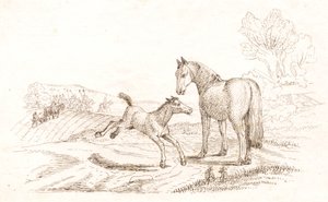 海伊为《半百儿童寓言》绘制的插图 作者 马蒂努斯·罗比（MartinusRørbye）