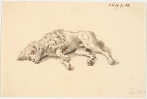 说谎的贵宾犬 作者 马蒂努斯·罗比（MartinusRørbye）