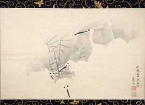 白鹭，1769年。