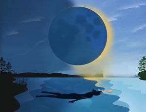日蚀》，2017 年（数字） 作者 玛丽·安·史密斯