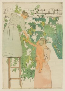 采集水果，约1893年。 作者 玛丽·卡萨特