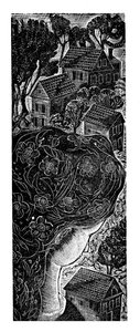 家 作者 玛丽·库珀