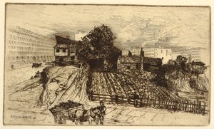 纽约城市农场 作者 玛丽·尼莫·莫兰（Mary Nimmo Moran）