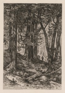 托马斯·莫兰美国人（Thomas Moran American），1837-1926年，1888年，加利福尼亚森林的内部。 作者 玛丽·尼莫·莫兰（Mary Nimmo Moran）