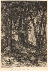 无题（森林场景） 作者 玛丽·尼莫·莫兰（Mary Nimmo Moran）