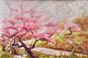 杏仁开花在山上