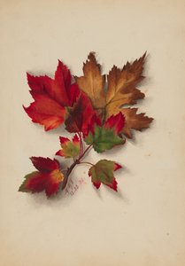 无题秋叶》，1874年。