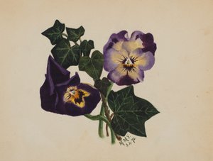 无题三色堇和常春藤，1876年。 作者 玛丽·沃克斯·沃尔科特