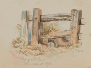 无标题图案，1873年。 作者 玛丽·沃克斯·沃尔科特