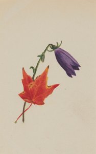 无题》，约1876年。 作者 玛丽·沃克斯·沃尔科特