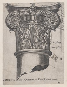 Speculum Romanae Magnificentiae：科林斯式和爱奥尼亚式的组合，约1537年，约1537年。