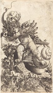 丘比特骑着蜗牛走过真菌植被 作者 硕士 HL