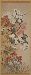 菊花