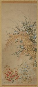 花和草，江户时期，1600-1630。