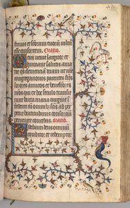 纳瓦拉国王（1361-1425）贵族查尔斯（Charles the Noble）的时间： 210r，文字，c。 1405。 作者 布鲁塞尔缩写和助理的硕士