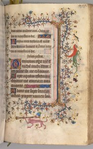 纳瓦拉国王（1361-1425）贵族查尔斯（Charles the Noble）的时间： 219r，文字，c。 1405。 作者 布鲁塞尔缩写和助理的硕士