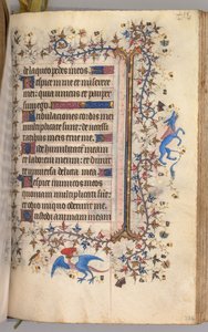 纳瓦拉国王（1361-1425）贵族查尔斯（Charles the Noble）的时间： 222r，文字，c。 1405。 作者 布鲁塞尔缩写和助理的硕士