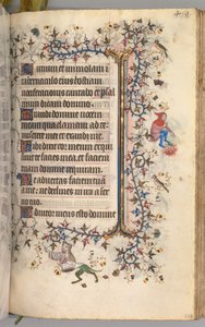纳瓦拉国王（1361-1425）贵族查尔斯（Charles the Noble）的时间： 224r，文字，c。 1405。 作者 布鲁塞尔缩写和助理的硕士