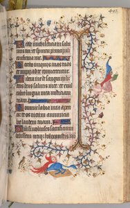 纳瓦拉国王（1361-1425）贵族查尔斯（Charles the Noble）的时间： 241r，文字，c。 1405。 作者 布鲁塞尔缩写和助理的硕士