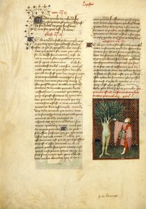 哈雷 4431，f.134v 《阿波罗与达芙妮》，选自《克里斯蒂娜-德-皮桑作品集