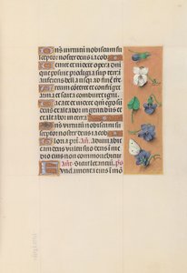 西班牙天主教皇后伊莎贝拉女王的时间： 106r，c。 1500。 作者 马克西米利安第一本祈祷书的硕士