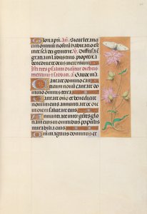 西班牙天主教女王伊莎贝拉的小时：  Fol.107r 作者 马克西米利安第一本祈祷书的硕士