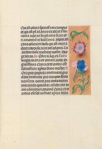 西班牙天主教皇后伊莎贝拉女王的时间： 112r，c。 1500。 作者 马克西米利安第一本祈祷书的硕士