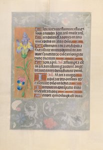 西班牙女王伊莎贝拉-天主教徒的时间：Fol.116v，约1500。 作者 马克西米利安第一本祈祷书的硕士