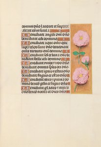 西班牙天主教皇后伊莎贝拉女王的时间： 119r，c。 1500。 作者 马克西米利安第一本祈祷书的硕士