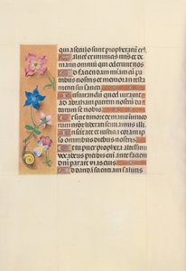 西班牙天主教皇后伊莎贝拉女王的时间： 123v，c。 1500。 作者 马克西米利安第一本祈祷书的硕士