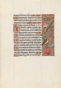 西班牙女王伊莎贝拉-天主教徒的时间：Fol.143r，约1500。 作者 马克西米利安第一本祈祷书的硕士